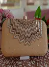 New Fancy Wear Stylis Designer Clutch Collection